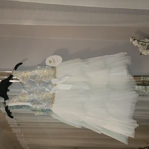 American Princess girls special event dress. Size 10
